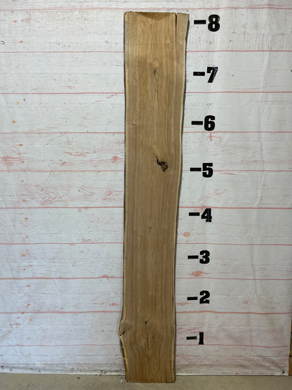 Live Edge Butternut Sku#26319C-15