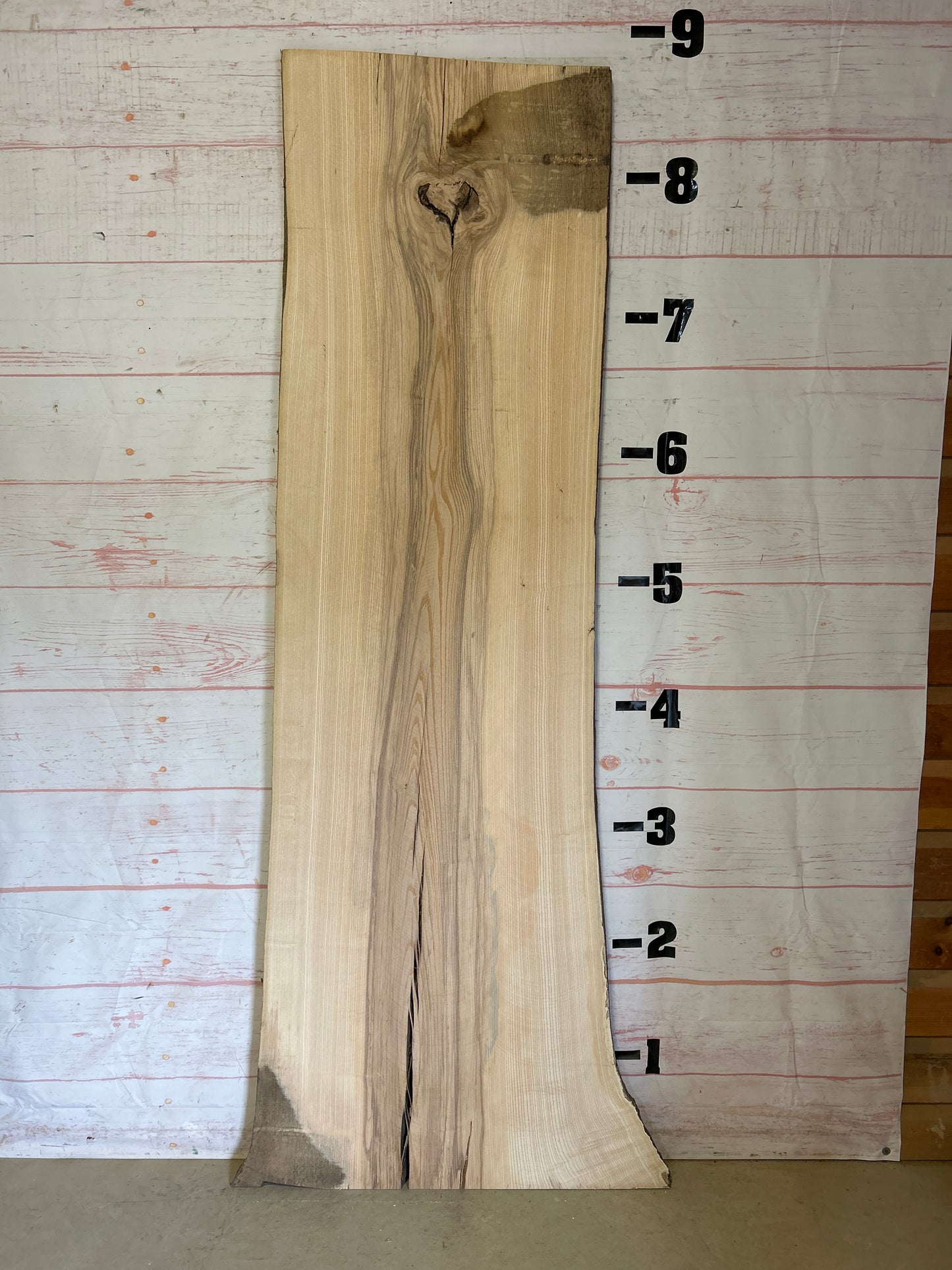 Live Edge Ash Sku#24178-50