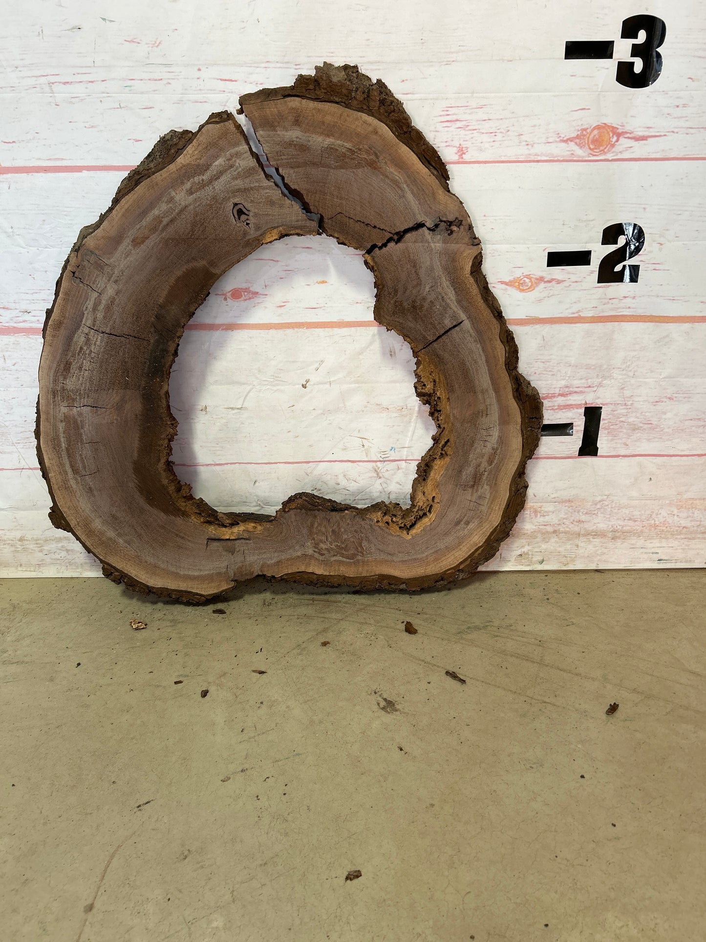 Live Edge Walnut Cookie Sku# 23864M