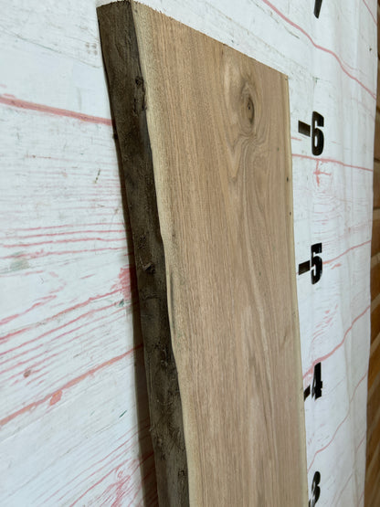 Live Edge Butternut Sku#25930C-13