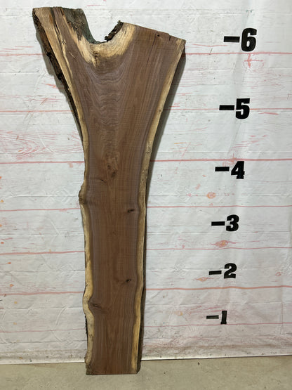 Live Edge Walnut Sku#27076G-20