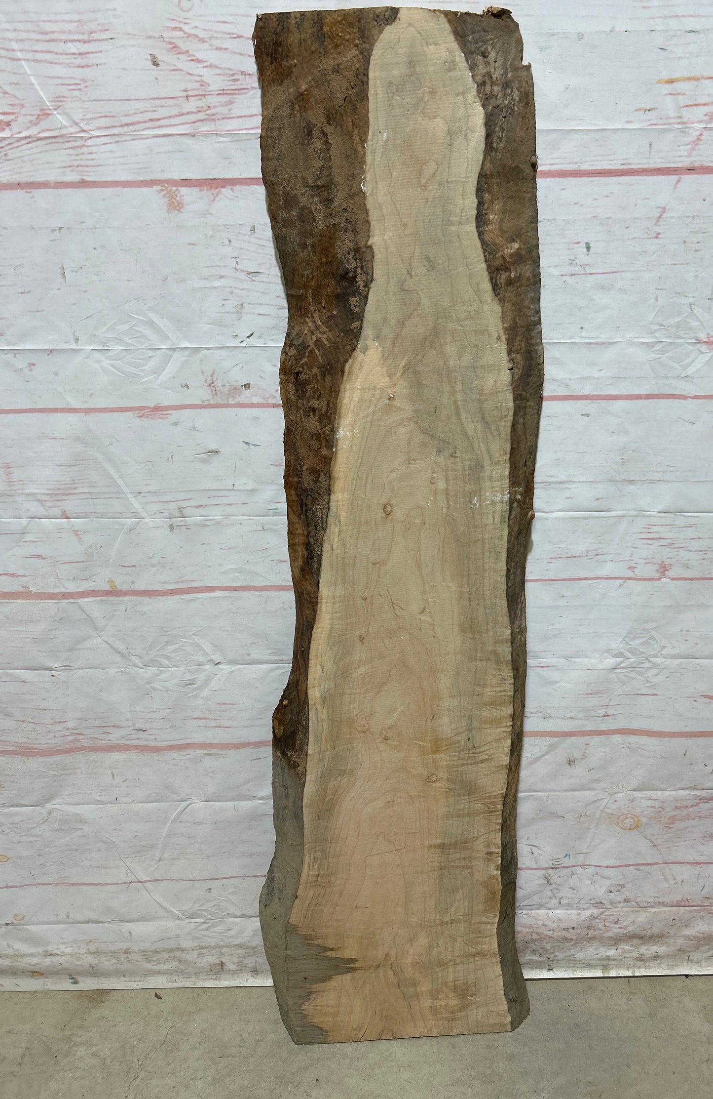 Live Edge Maple Sku#26703E-8