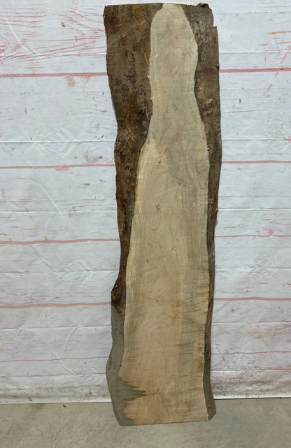 Live Edge Maple Sku#26703E-8