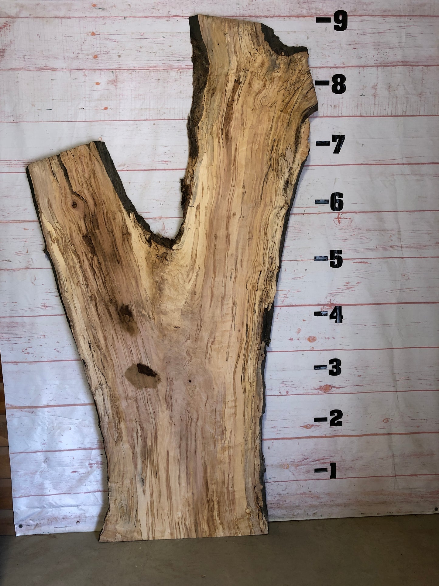 Live Edge Spalted Maple Sku#23546S-59