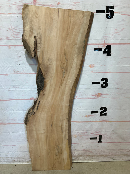 Live Edge Maple Sku#26989M-19