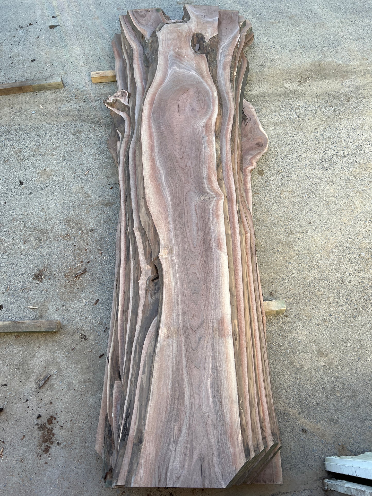 Live Edge Walnut Sku# 22276-57