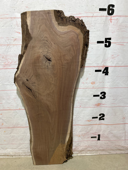 Live Edge Walnut Sku#27177A-24