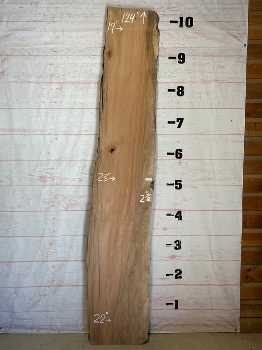 Live Edge Sycamore Sku#26536-47