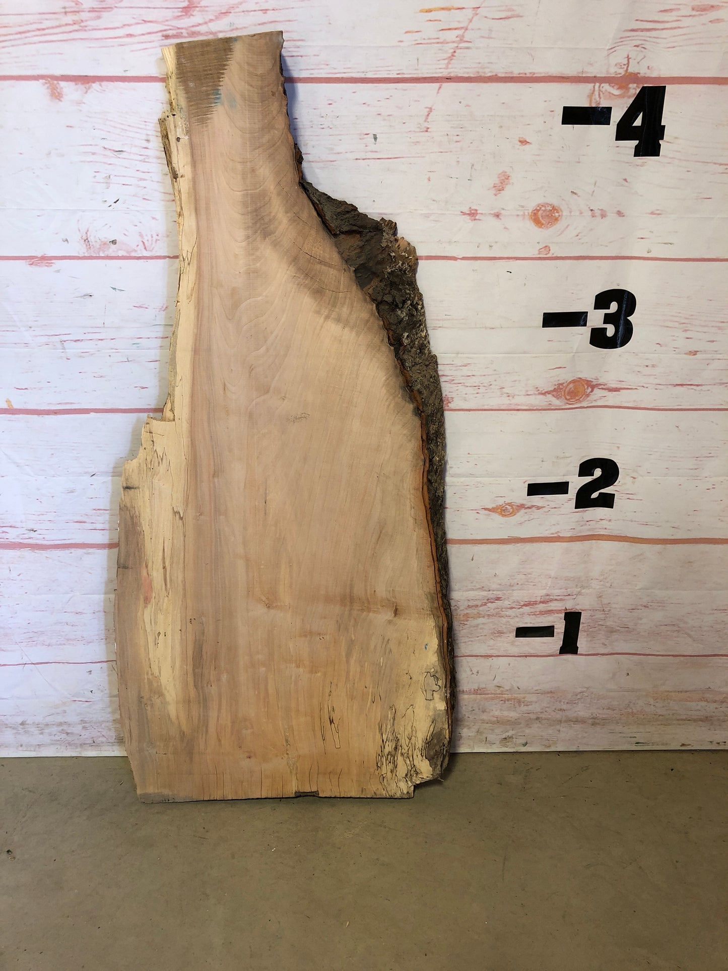 Live Edge Maple Sku#22751M-15