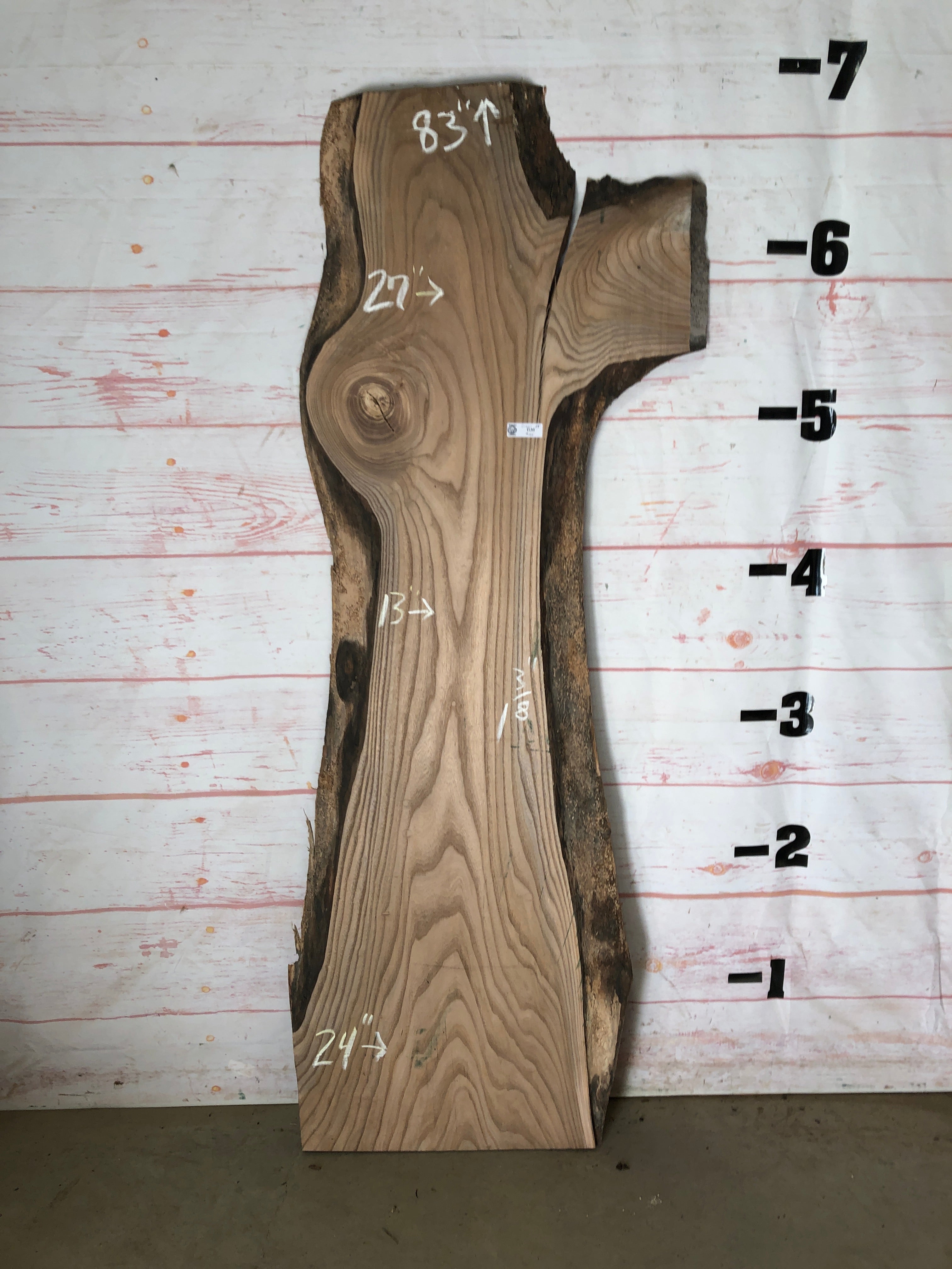 A live edge elm slab of wood – Collector's Specialty Woods