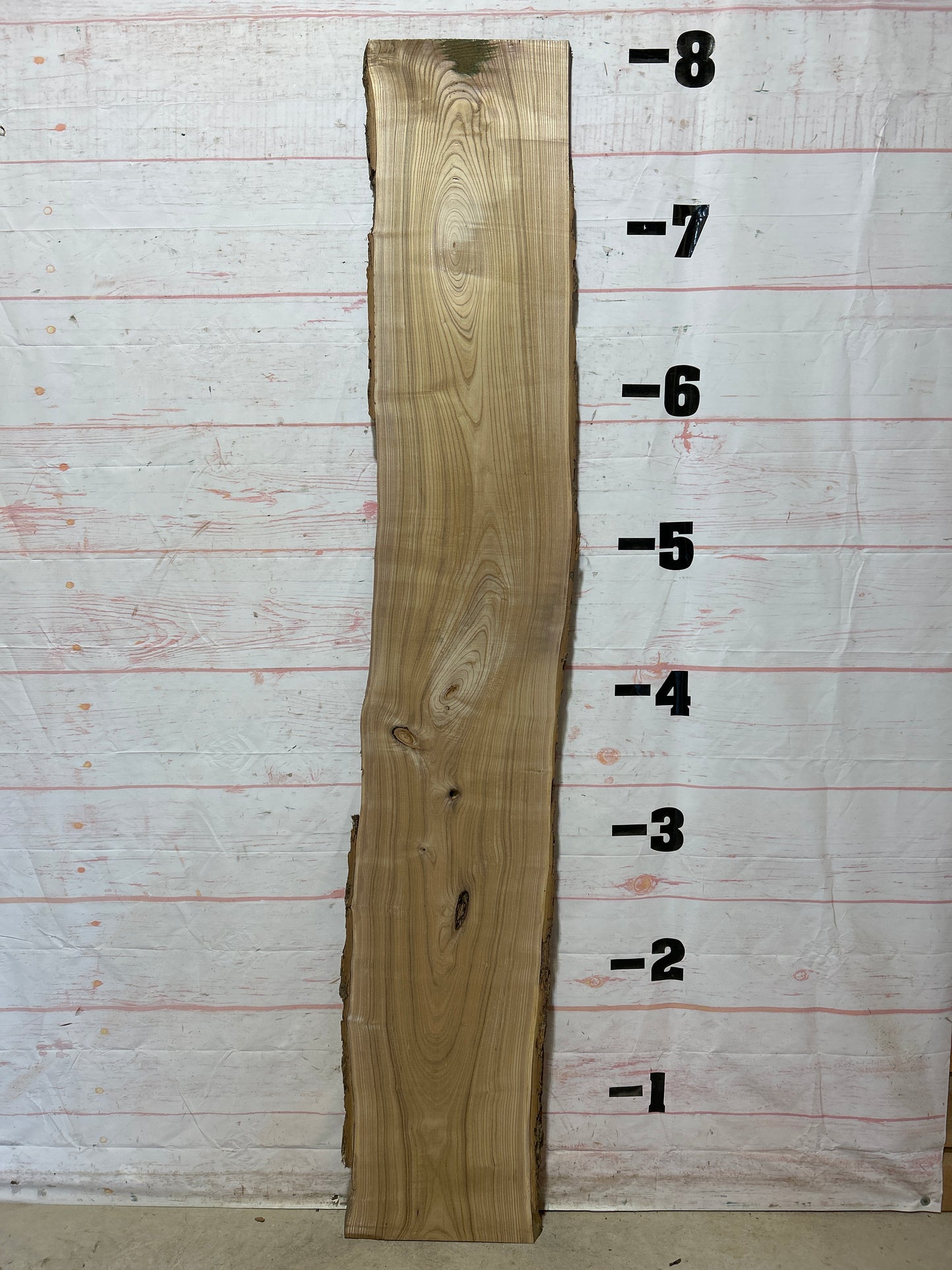 Live Edge Catalpa Sku#26314-15