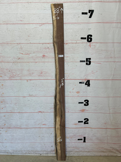 Live Edge Walnut Sku#25955C-5