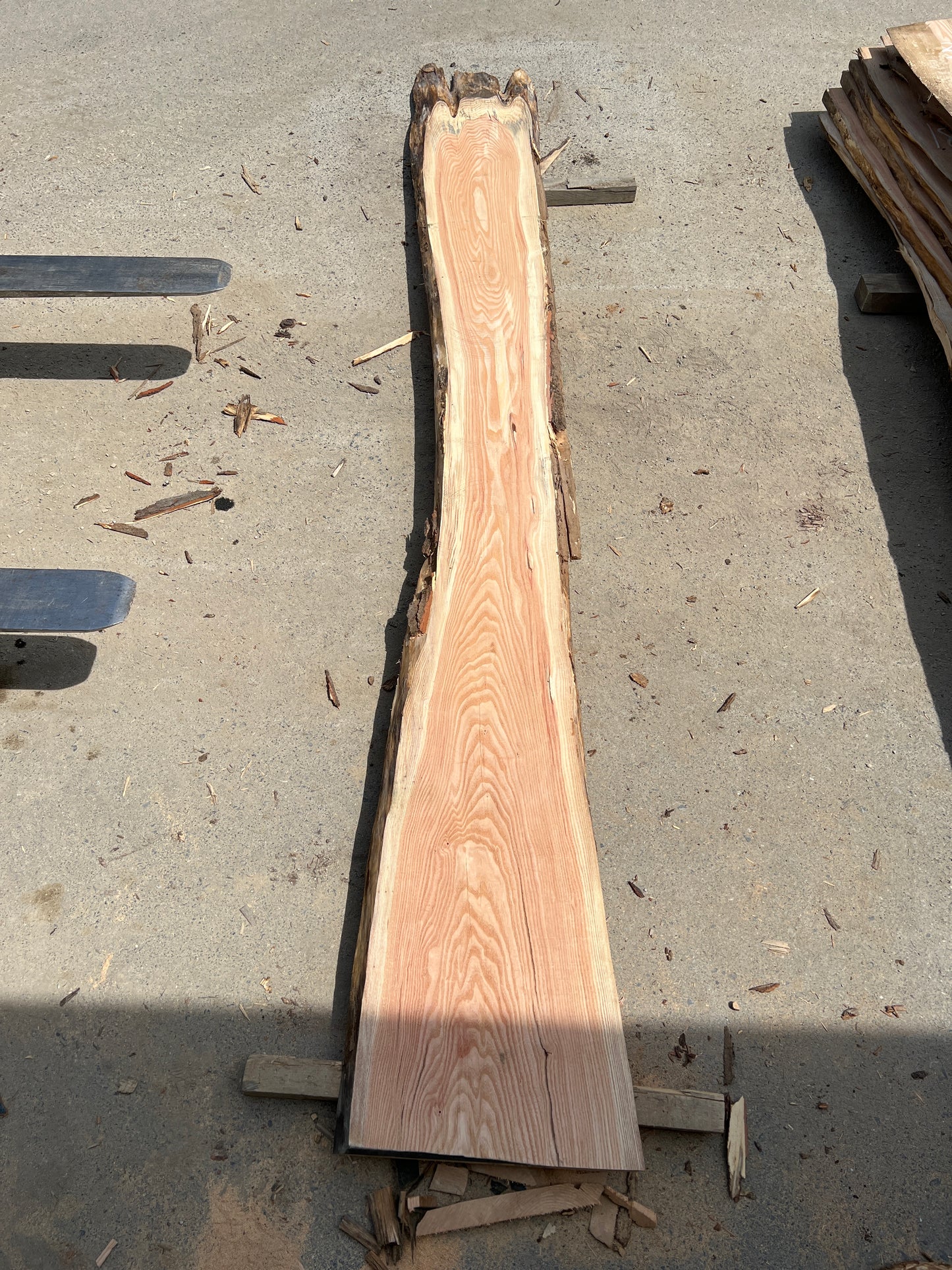 Live Edge Honey Locust - Sku# 20265-35