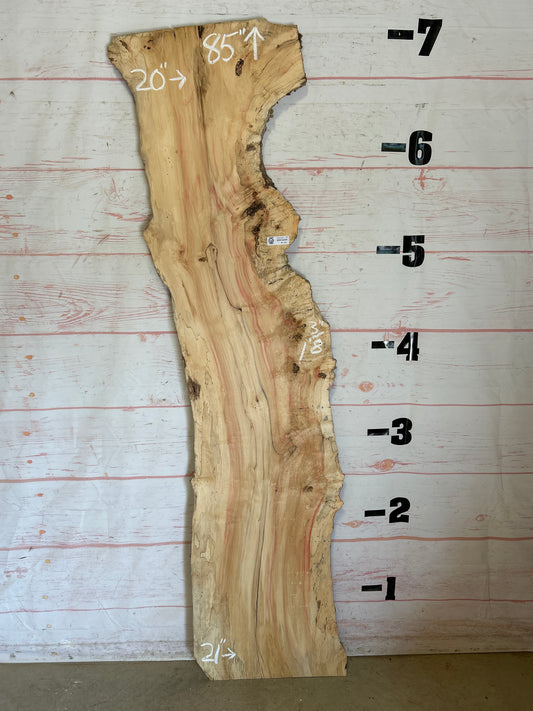 Live Edge Box Elder Sku#25229D-19