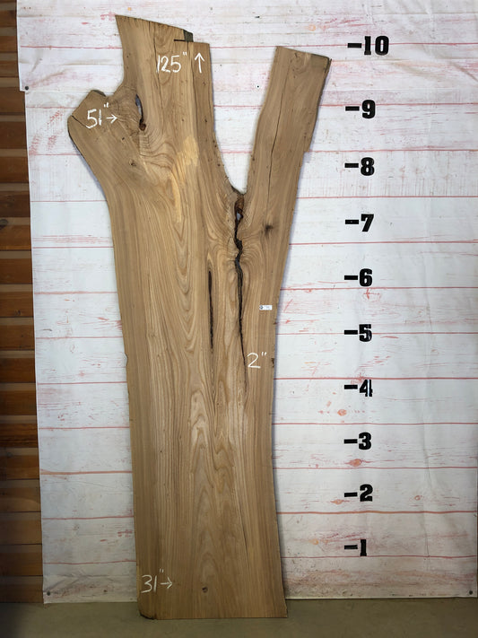 Live Edge Elm Sku#22637-71