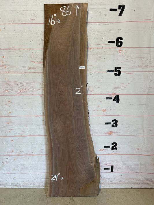 Live Edge Walnut Sku#26152C-24