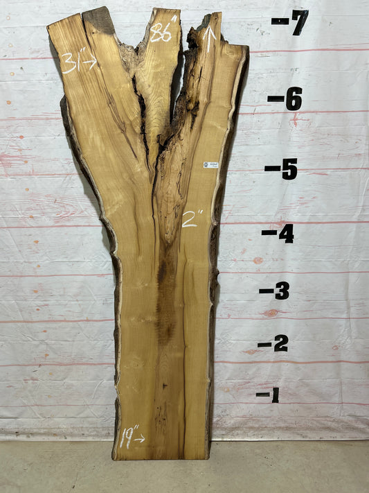 Live Edge Mulberry Sku#27106-30