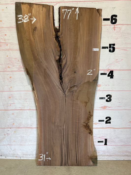 Live Edge Walnut Sku#26147-37