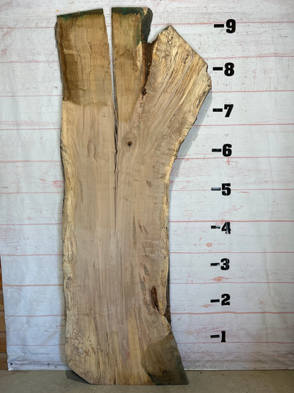 Live Edge Maple Sku#26266-60