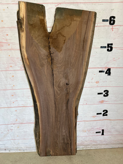 Live Edge Walnut Sku#26151-32