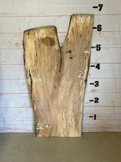 Live Edge Spalted Maple Sku#23922S-42