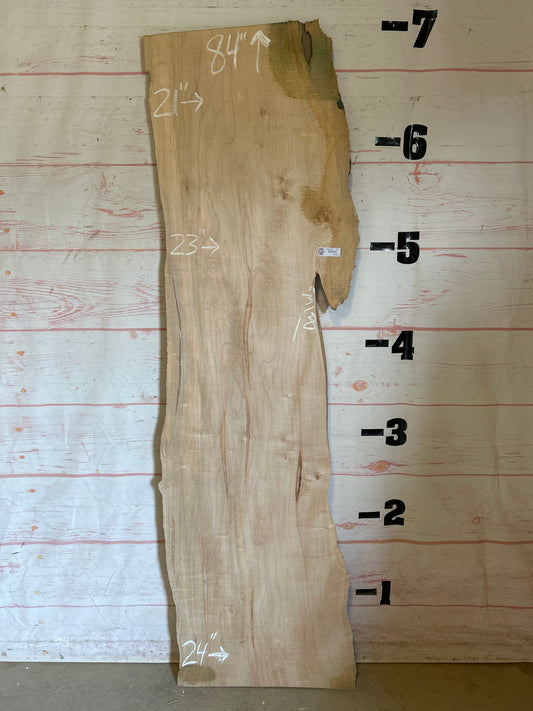 Live Edge Maple Sku#24679E-20