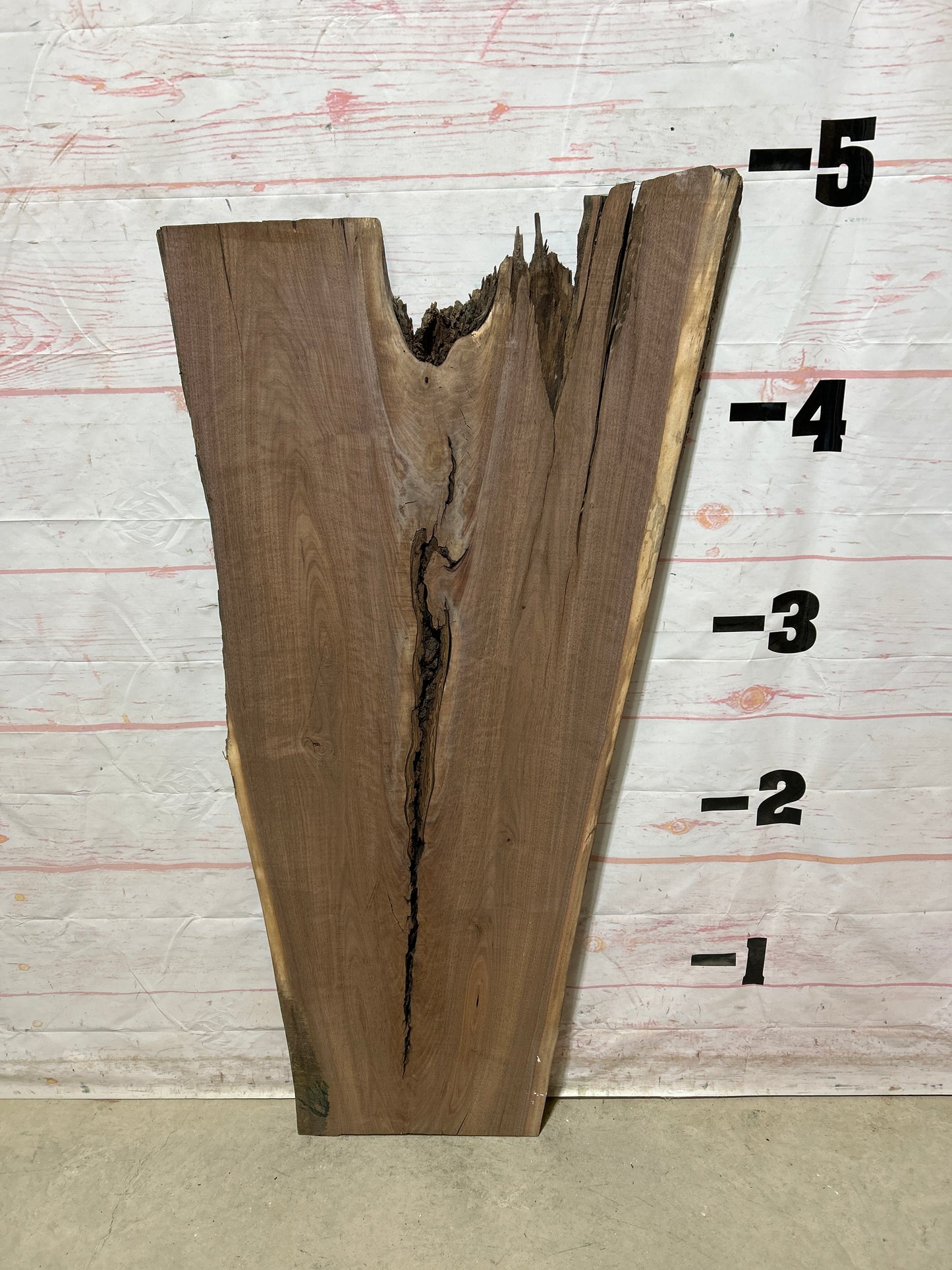 Live Edge Walnut Sku#26864A-17