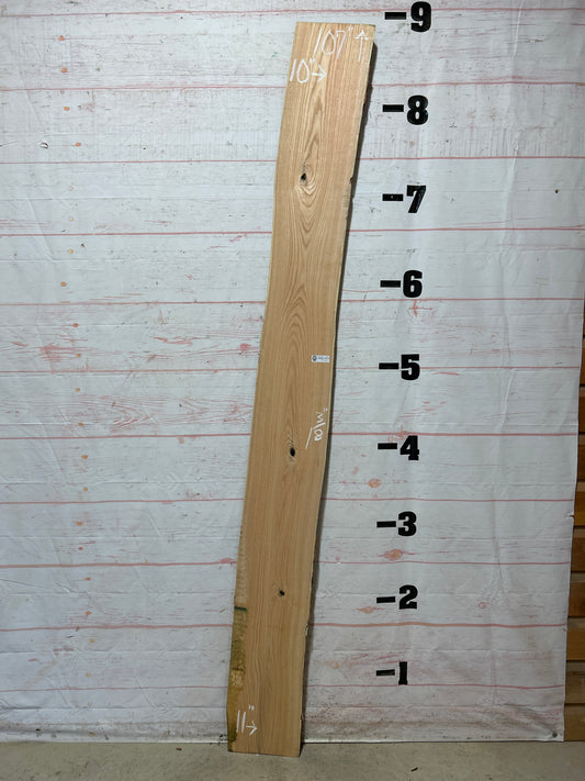 Live Edge Honey Locust Sku#26316H-12