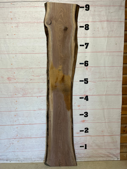 Live Edge Walnut Sku#26064-31
