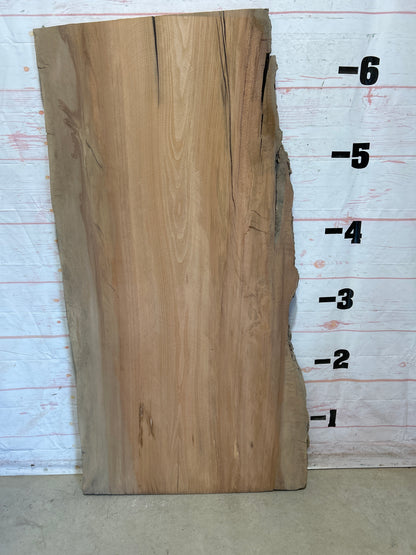 Live Edge Sycamore Sku#26543-50