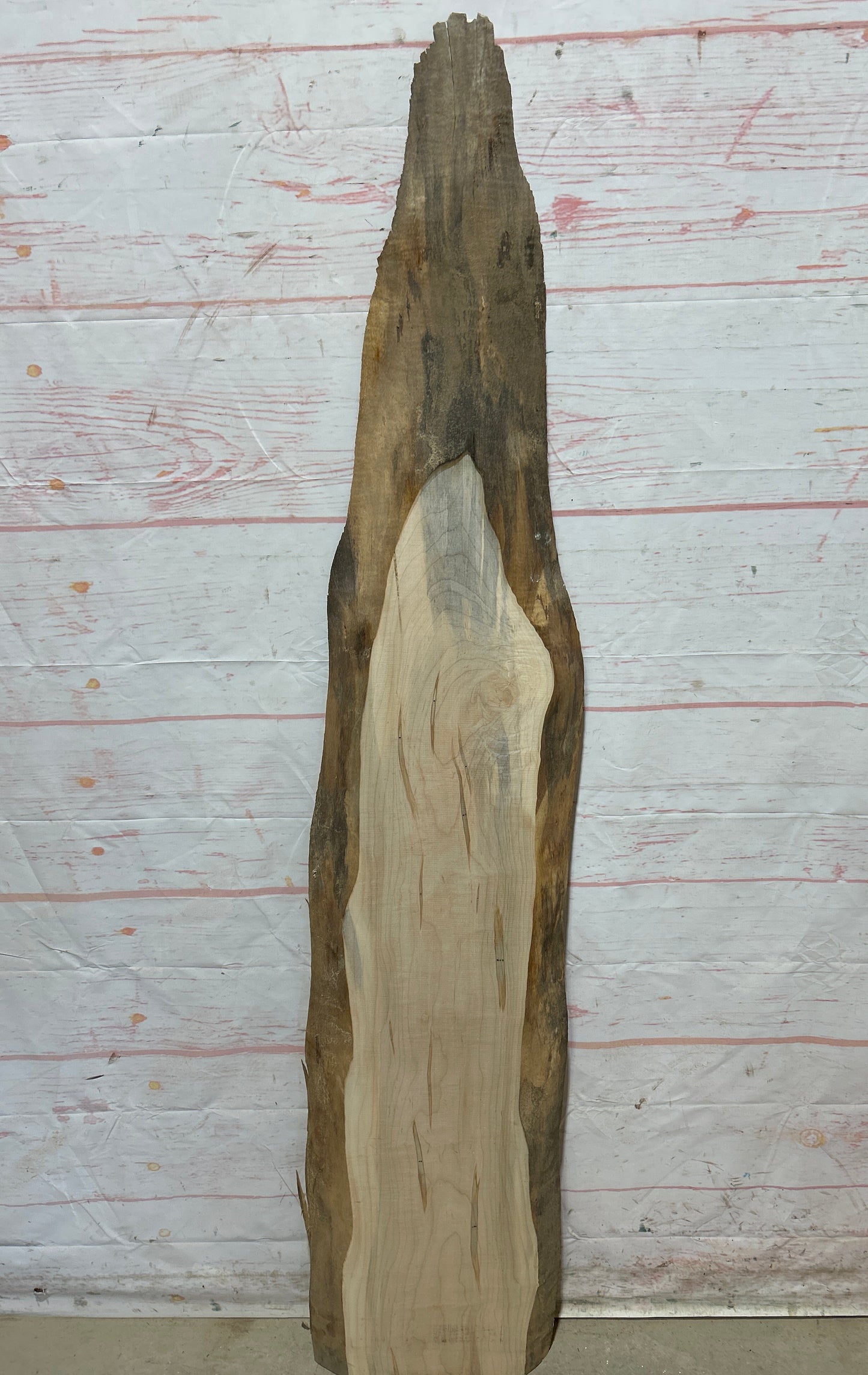Live Edge Maple Sku#26708E-8