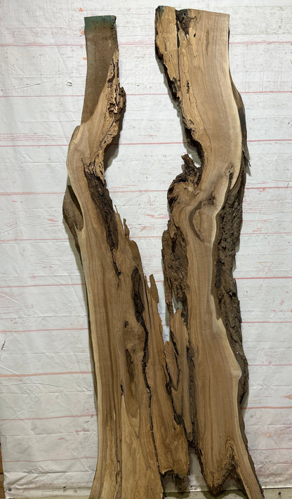 Live Edge Butternut Sku#26755S-45