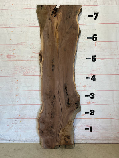 Live Edge Walnut Sku#26142C-29
