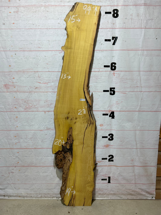 Live Edge Osage Orange Sku#27039B-23