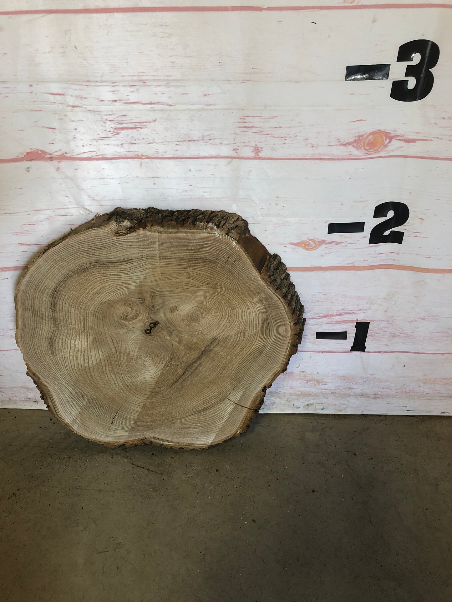 Live Edge Catalpa Cookie Sku#23524M