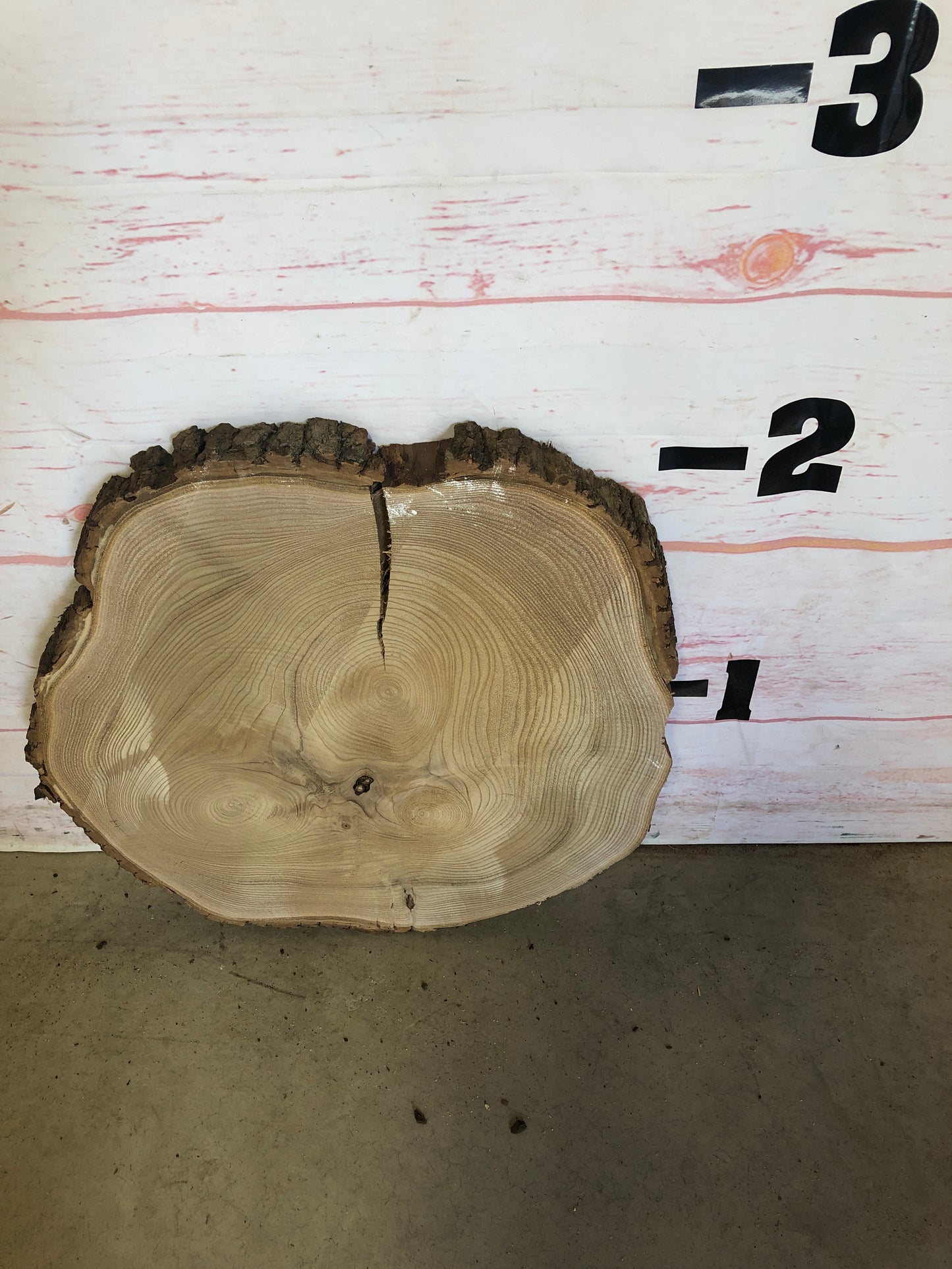 Live Edge Catalpa Cookie Sku#23526M