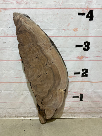 Live Edge Walnut Sku#26928M-9