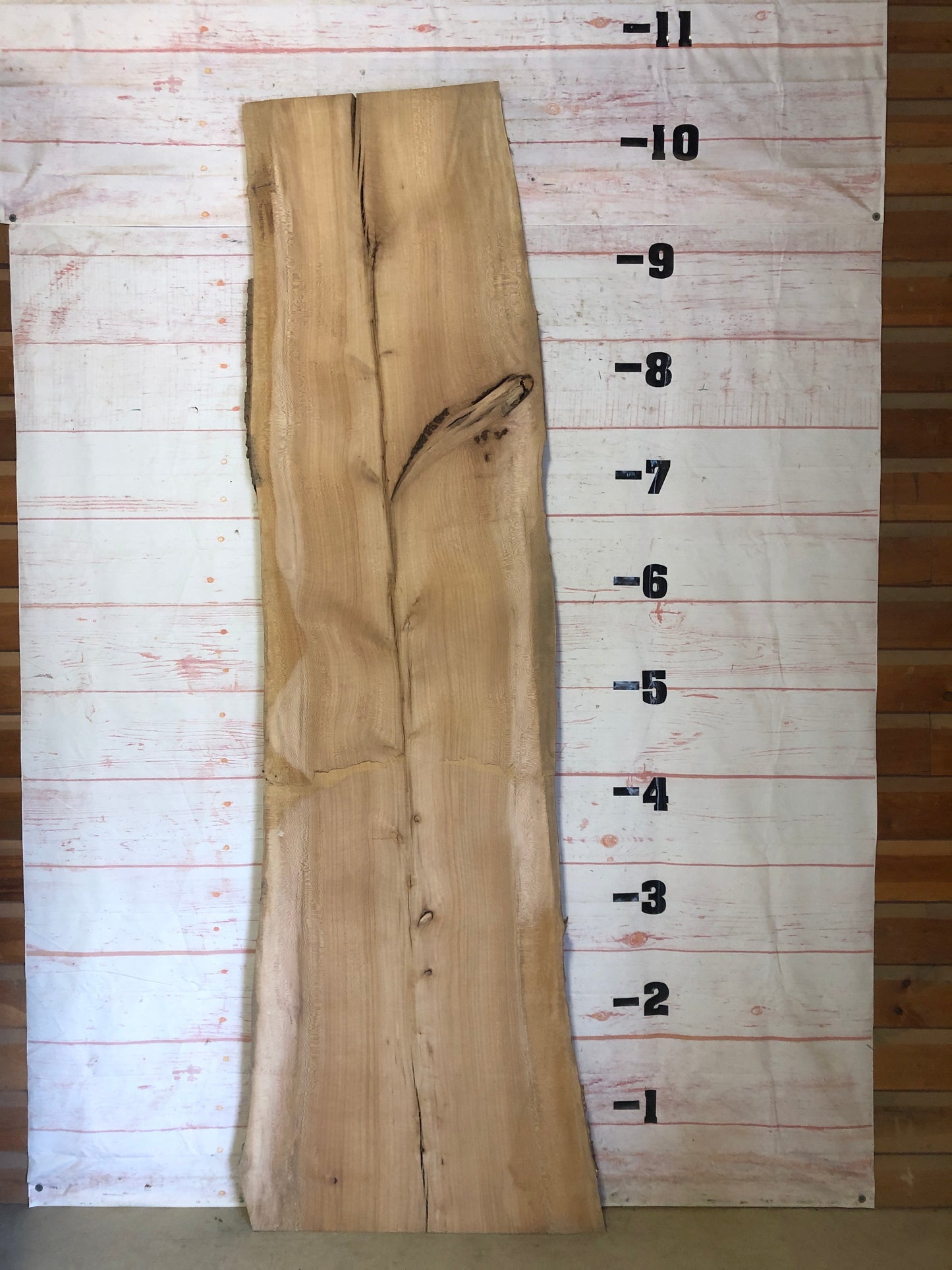 Live Edge Sycamore Sku#23277S-60