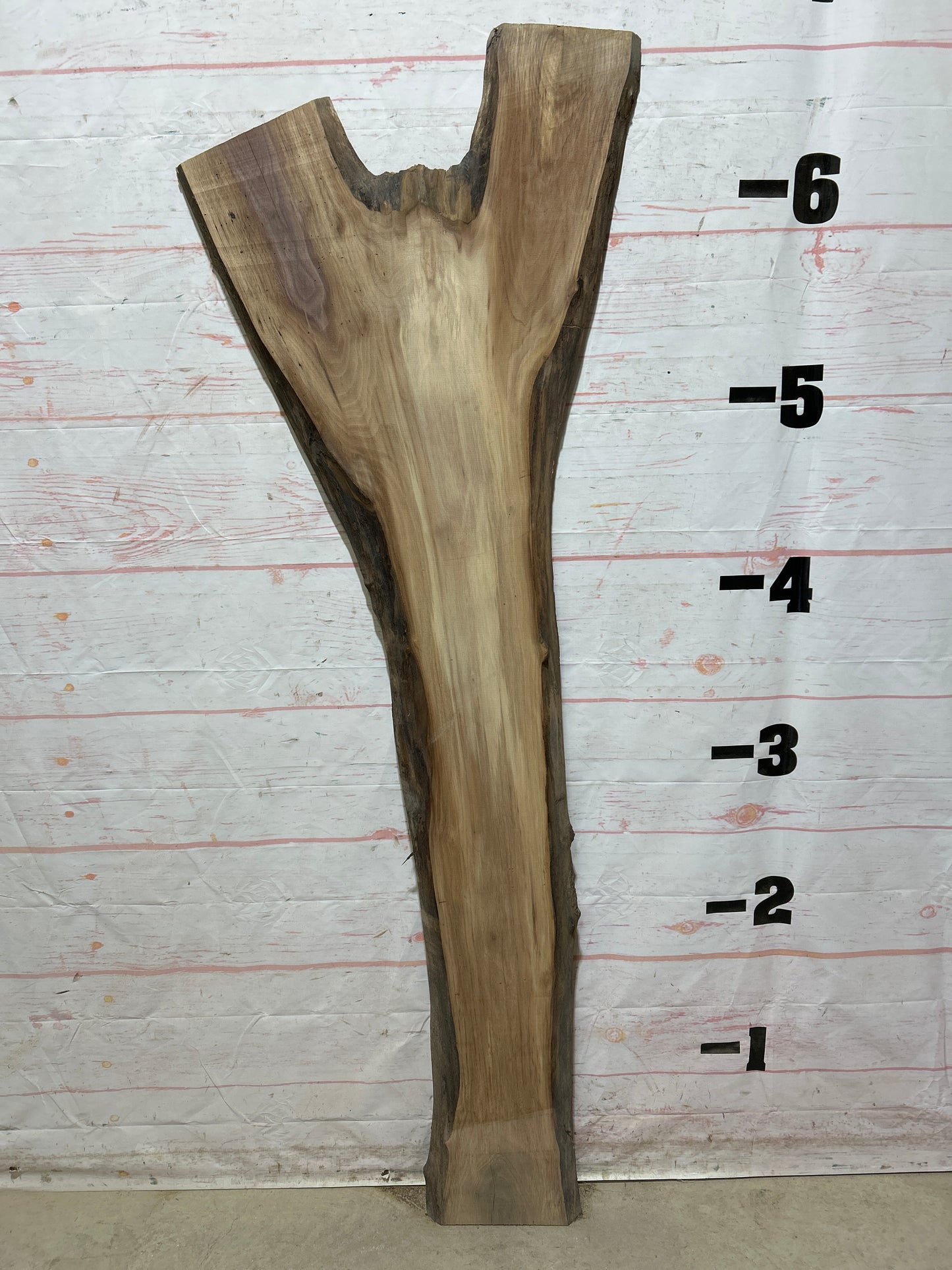 Live Edge Walnut Sku#26832M-15