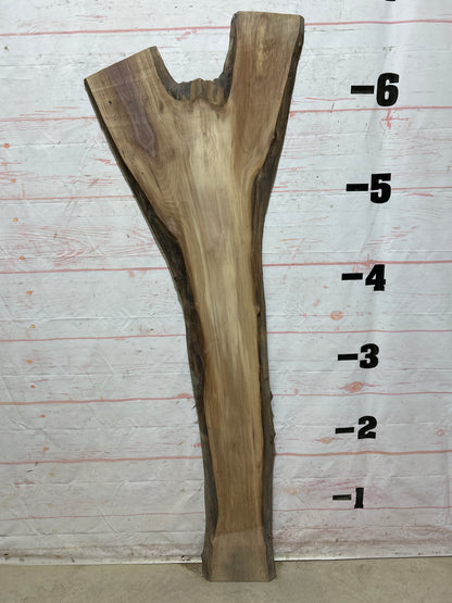 Live Edge Walnut Sku#26832M-15