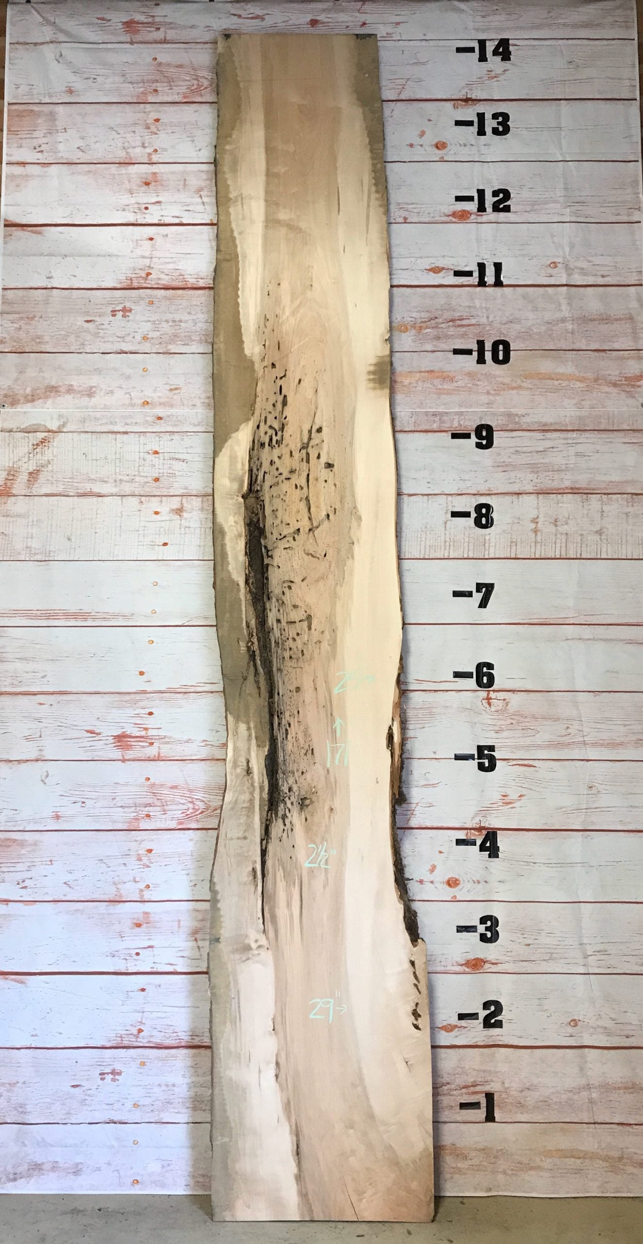 Live Edge Maple – Sku# S8677