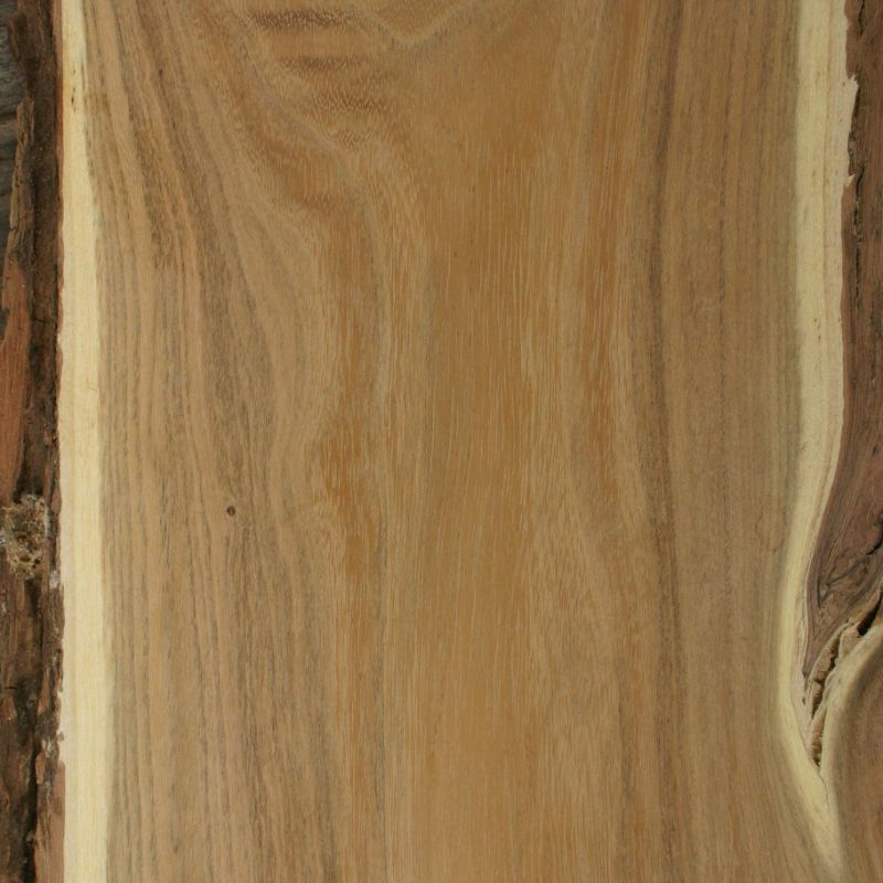 4/4 Black Locust Hardwood Lumber Top Grade FAS