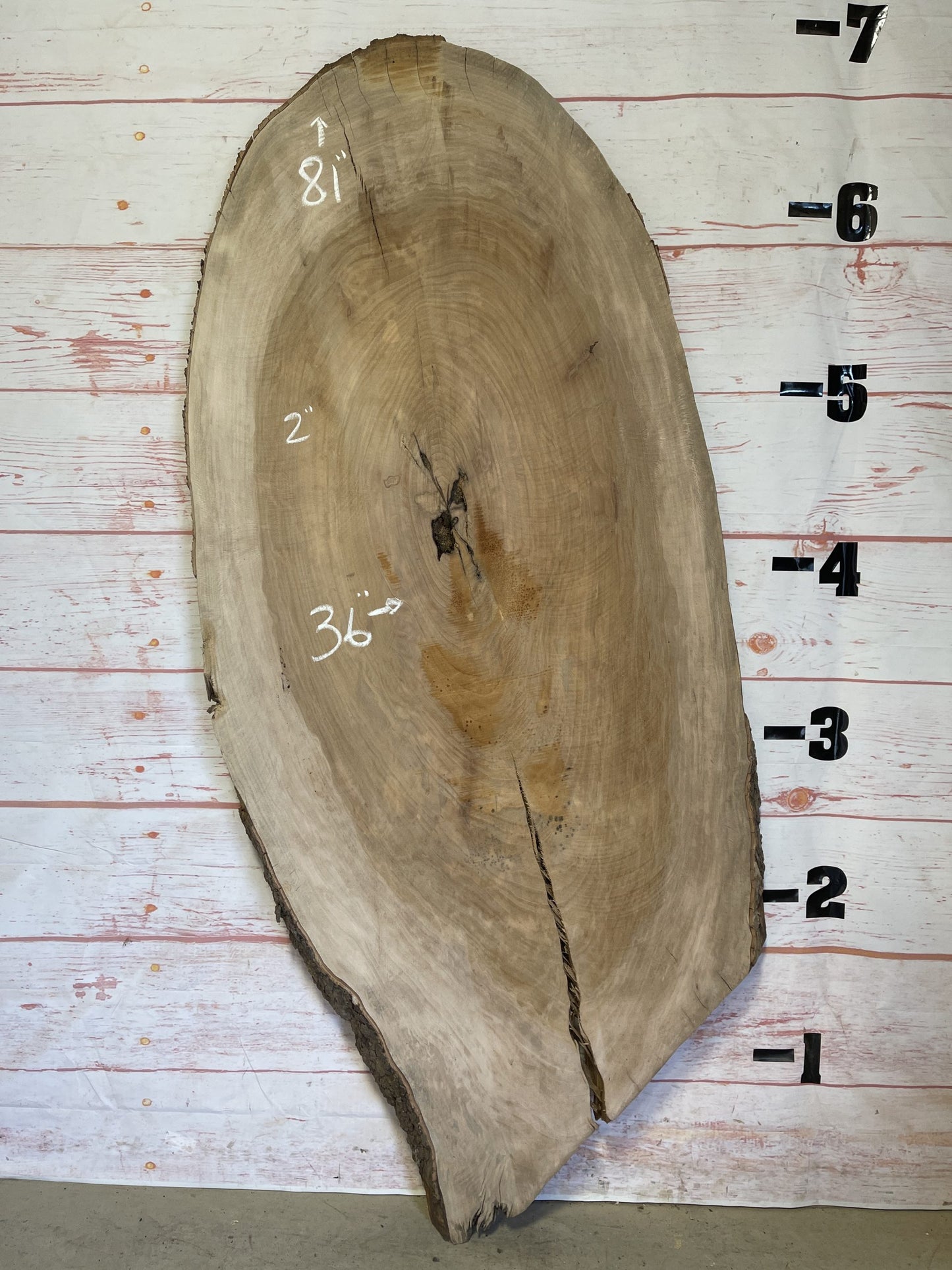 Live Edge Sycamore – Sku# 16880