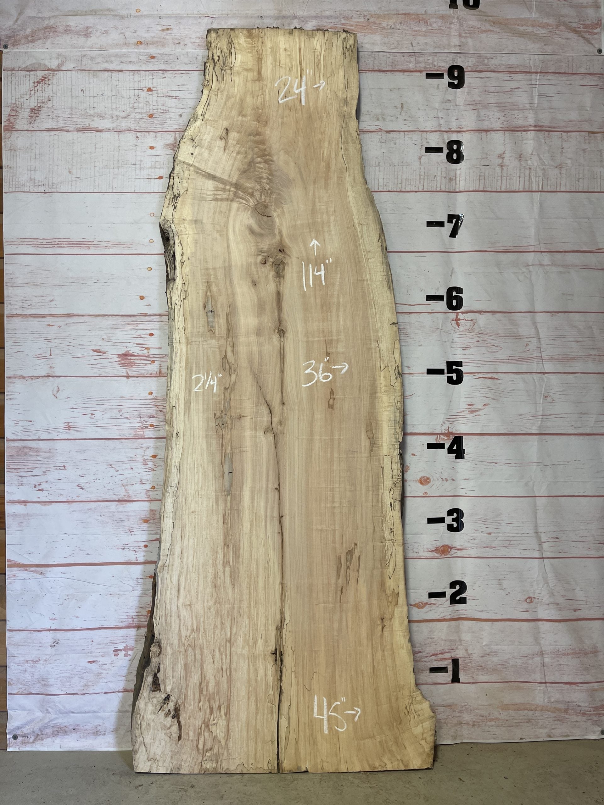 Live Edge Spalted Maple – Sku# 16834