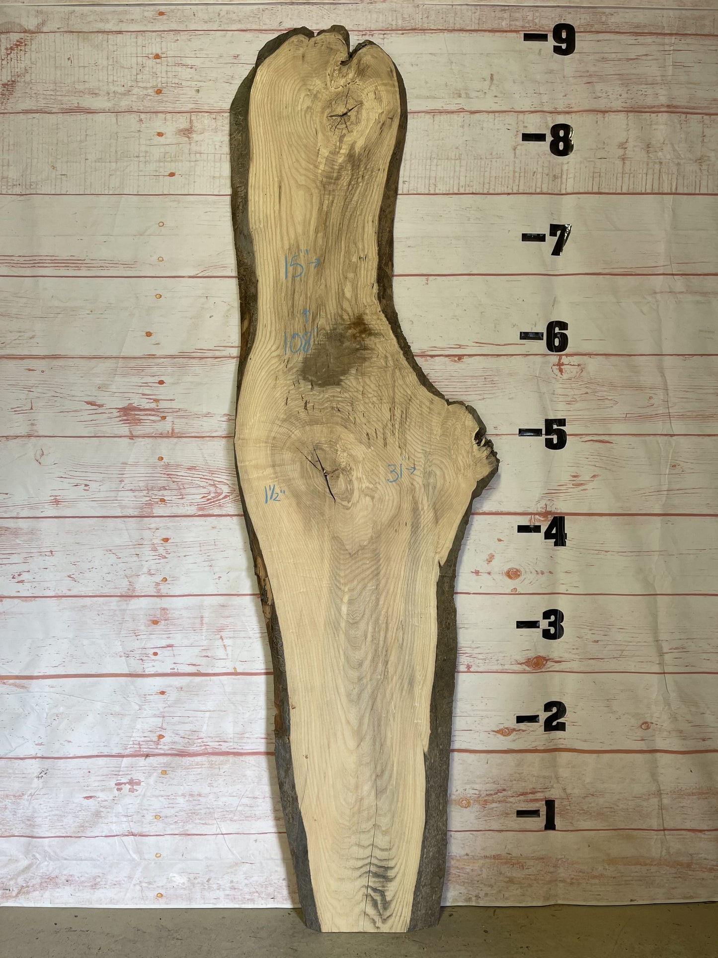 Live Edge Ash – Sku# 15313