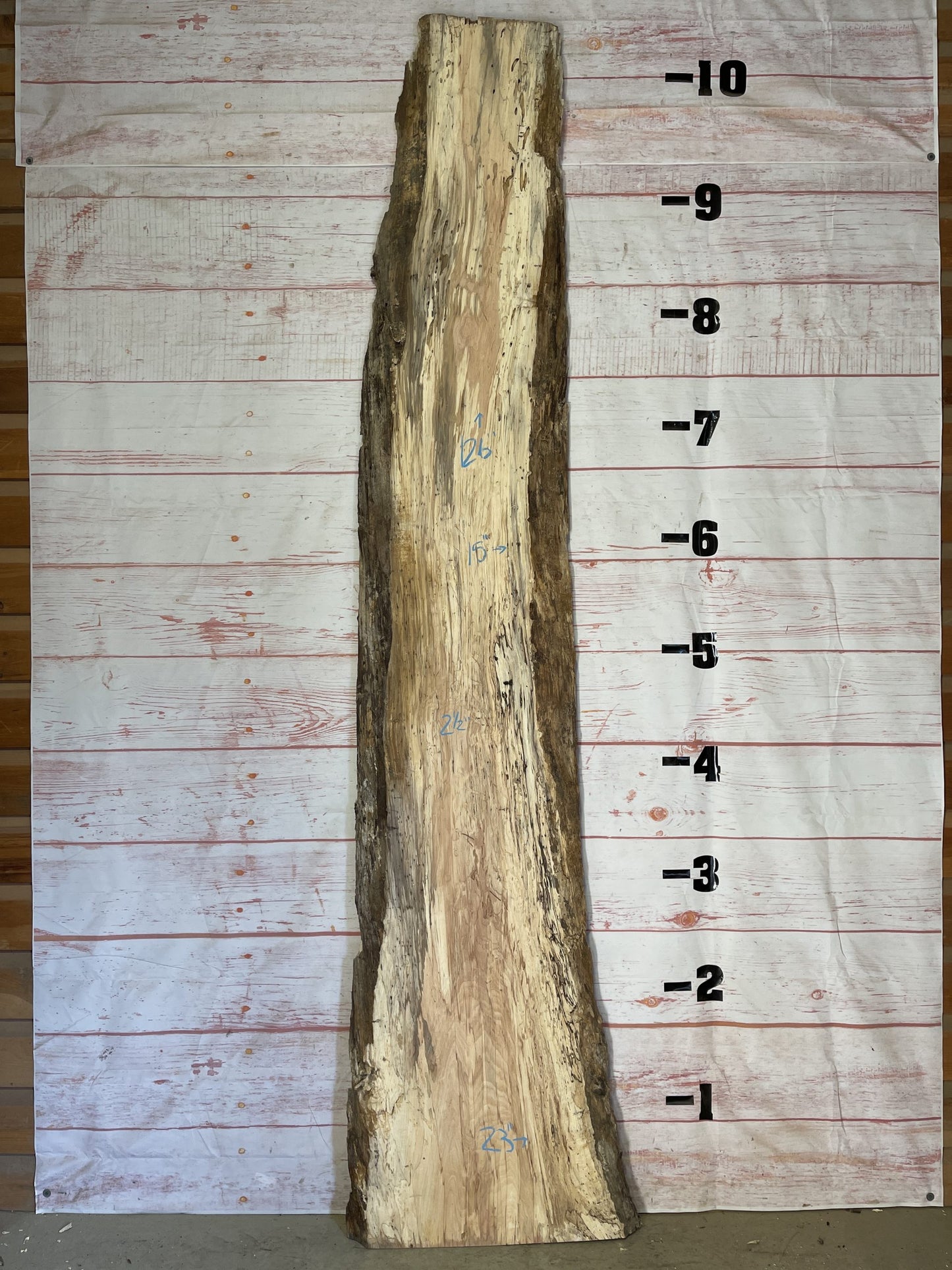 Live Edge Spalted Maple – Sku# 15077