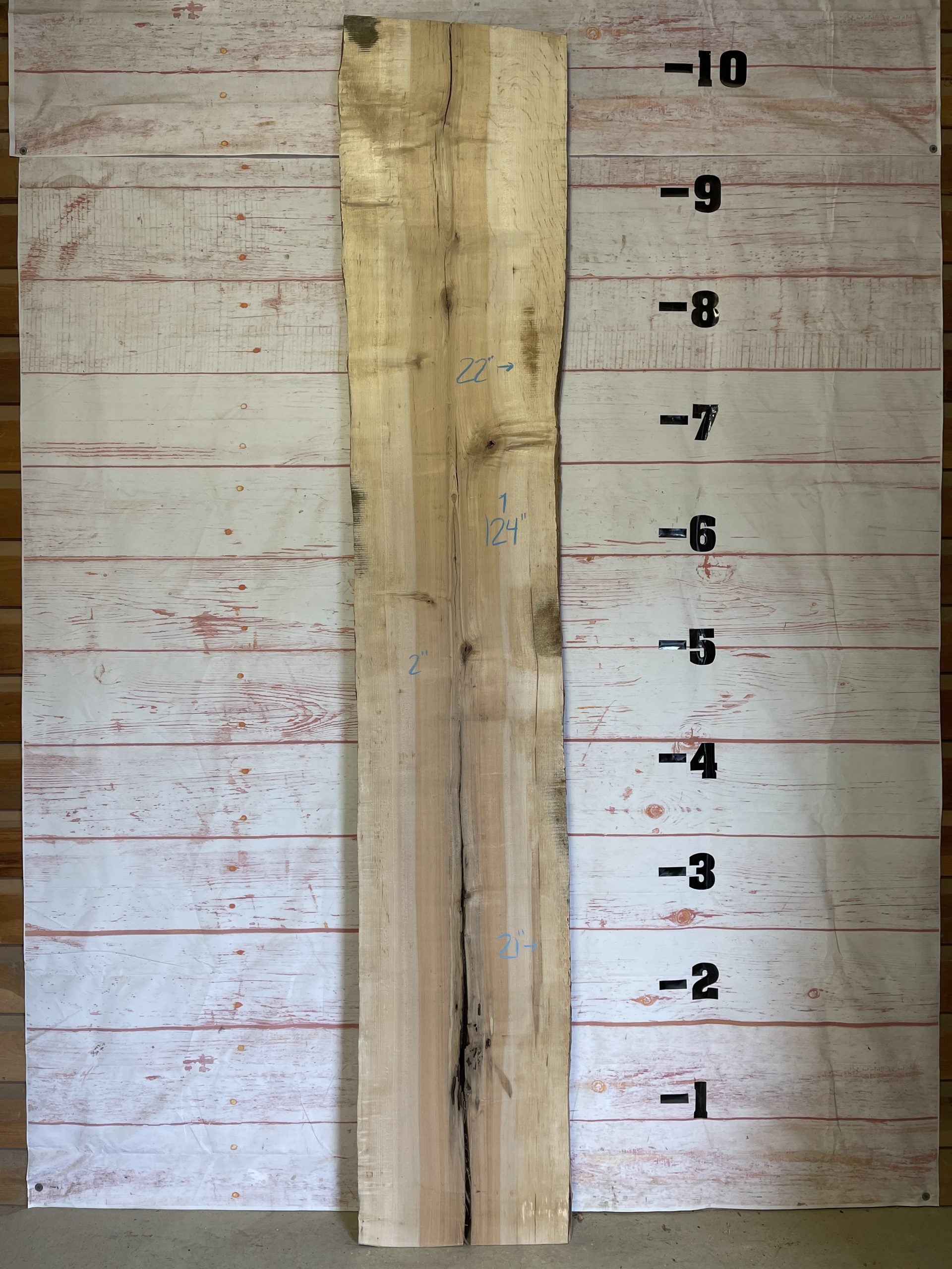 Live Edge Hard Maple – Sku# 15463