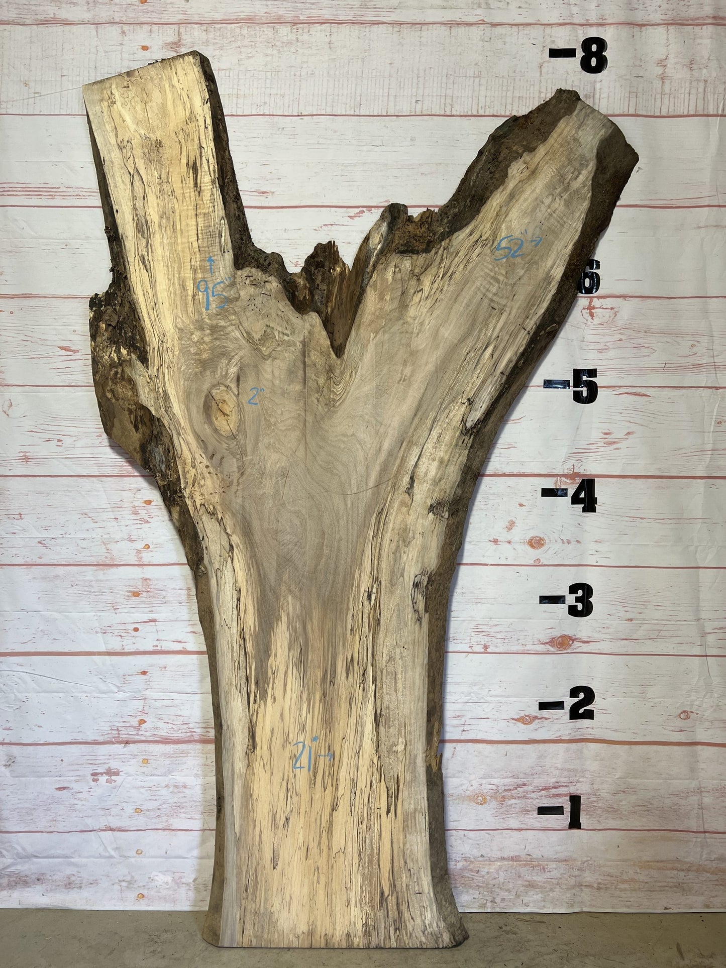 Live Edge Spalted Maple – Sku# 17749