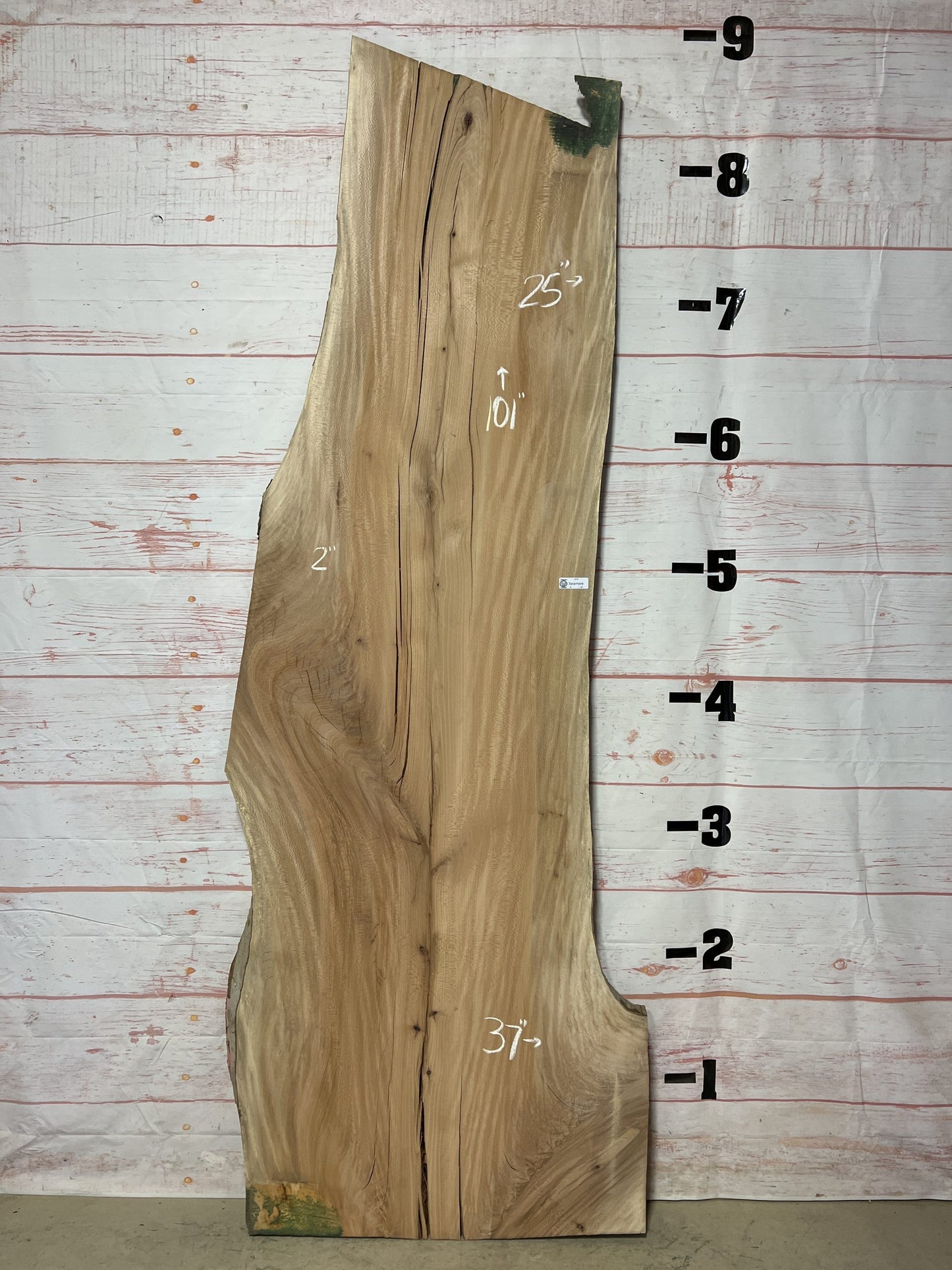 Live Edge Sycamore – Sku# 18534