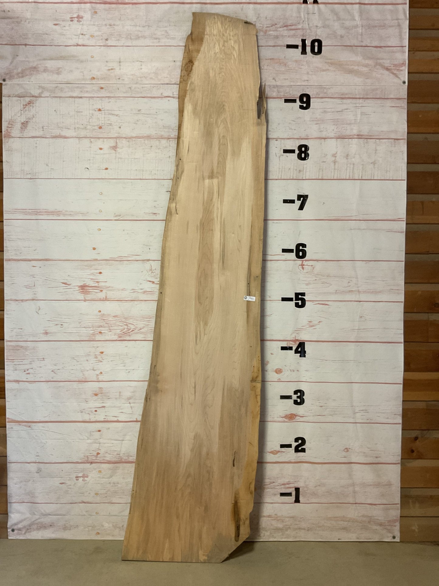 Live Edge Maple – Sku# 19388